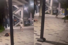 “Dầu không gian” tràn lan Singapore và Đông Nam Á: Thanh thiếu niên thành “xác sống” đường phố