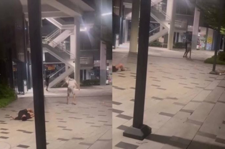 “Dầu không gian” tràn lan Singapore và Đông Nam Á: Thanh thiếu niên thành “xác sống” đường phố