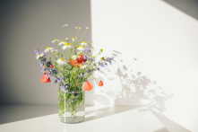 4 câu thể hiện cảnh giới cao nhất của cuộc đời