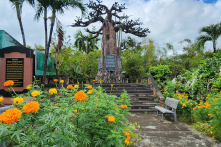 Chút lòng biết ơn