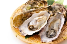 Hai người nữa ở Hoa Kỳ đã tử vong vì vi khuẩn ăn thịt người sau khi ăn hàu sống