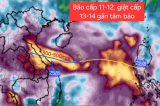 Dự báo bão số 5 (Kajiki) giật tới cấp 13-14, còn có thể mạnh thêm