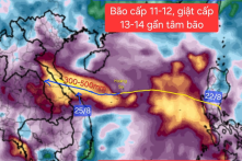Dự báo bão số 5 (Kajiki) giật tới cấp 13-14, còn có thể mạnh thêm