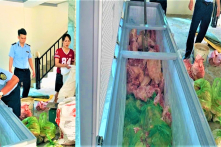 Thanh Hóa: Bán thịt heo nhiễm tả heo châu Phi, 4 người bị tạm giữ