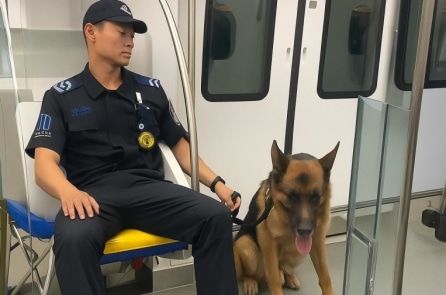 Duyệt binh hoành tráng và nỗi sợ ẩn sau – Ai là “kẻ thù” khiến ĐCSTQ sợ nhất?