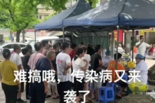 Dịch sốt Chikungunya ở Quảng Đông: Một số nơi xét nghiệm, cách ly như thời COVID