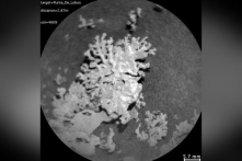 Xe tự hành Curiosity của NASA phát hiện ra ‘san hô’ hàng tỷ năm tuổi trên sao Hỏa