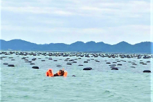 Lật bè chở 17 người trên biển Quảng Ninh, 2 người tử vong