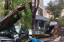 [Video] Bão Kajiki quét qua Trung Quốc, Tam Á hứng chịu bão mạnh nhất gần 40 năm qua