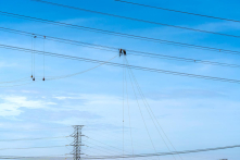 Khoản lỗ gần 45.000 tỷ đồng của EVN được cân nhắc đưa vào giá điện