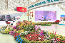 Lệnh “cấm vận hoa” của TP.HCM cần đánh giá từ hai chiều