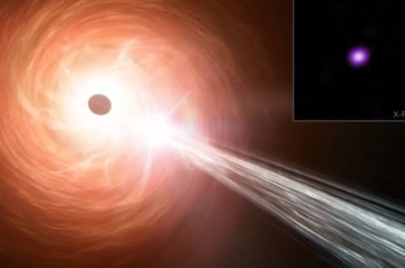 Các nhà thiên văn học: Một hố đen đang phát triển với tốc độ đáng báo động