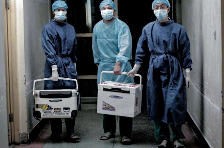 Việc ĐCSTQ mổ cướp nội tạng là một bí mật công khai