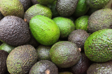 Làm sao để bảo quản bơ được lâu và giữ nguyên hương vị?