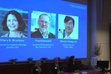 Giải Nobel Y học 2025: Phát hiện cơ chế kiểm soát miễn dịch