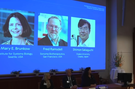 Giải Nobel Y học 2025: Phát hiện cơ chế kiểm soát miễn dịch