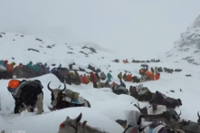 Hành trình thoát khỏi tử thần sau trận bão tuyết Everest