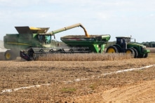 Trung Quốc đồng ý mua đậu nành Mỹ, chuyên gia đánh giá tác động