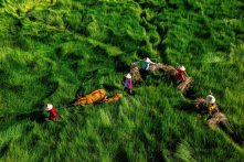 Quan niệm nông dân về tinh tú