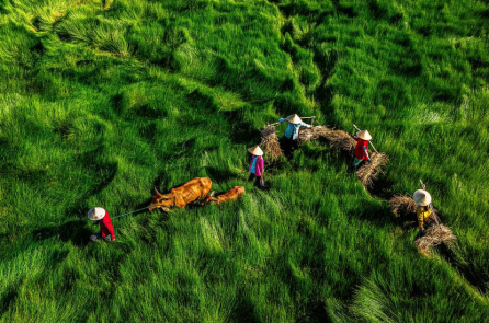 Quan niệm nông dân về tinh tú