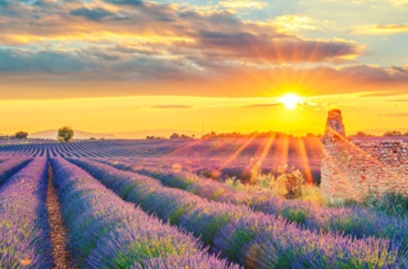 Khi bạn thực sự không thể chịu đựng thêm nữa, hãy nghĩ về 9 câu này