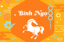 Tản mạn chuyện “Ngựa” năm Bính Ngọ