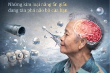 Những kim loại nặng ẩn giấu đang tàn phá não bộ của bạn