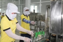 Nghề nước mắm Phan Thiết được đề xuất là Di sản văn hóa phi vật thể quốc gia