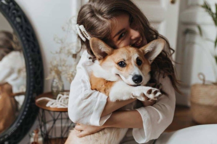 Liệu chó có nghĩ bạn là ‘kẻ ngốc’, có chê người chủ ‘dở tệ’ bao giờ không?