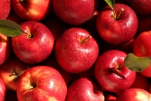 Việt Nam nhập siêu rau quả từ Mỹ gần 354 triệu USD, mức cao nhất 10 năm