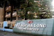 Vụ hơn 120 tấn thịt lợn bệnh: Bắt khẩn cấp Tổng Giám đốc Công ty Đồ hộp Hạ Long