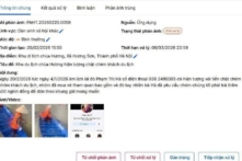 Hai lái đò ở chùa Hương bị đình chỉ chở khách đến hết mùa lễ hội