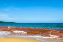 Nước biển đổi màu đỏ kỳ lạ tại Gia Lai không phải do tảo nở hoa