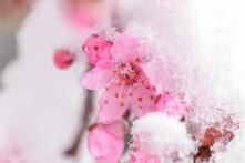 Những người đã trải qua gian khổ tột cùng có thể tu dưỡng 5 loại trí tuệ