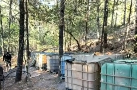 Hai nhân viên Đại sứ quán Mỹ thiệt mạng trong tai nạn ở Mexico